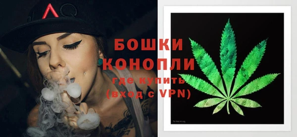 сатива Баксан