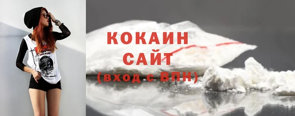 сатива Баксан