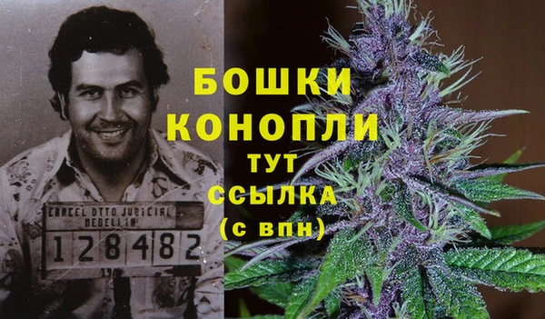 сатива Баксан