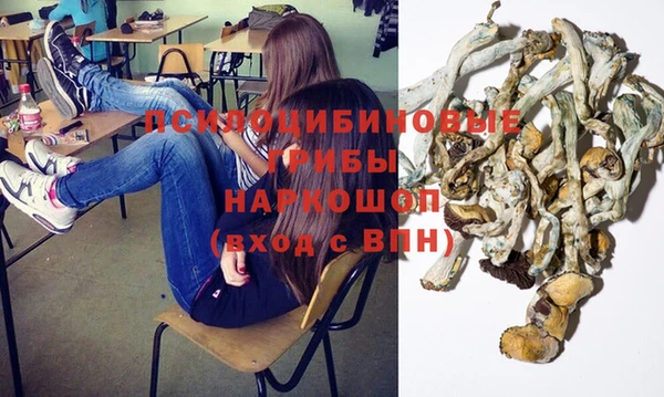 соль курить ск Белокуриха
