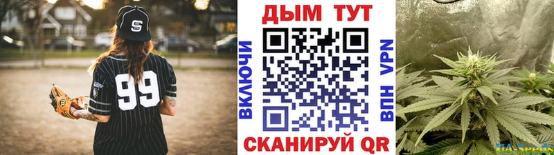 МАРИХУАНА планчик  Мезень 